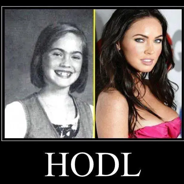 GLD6900 HODLers vs traditional investors meme